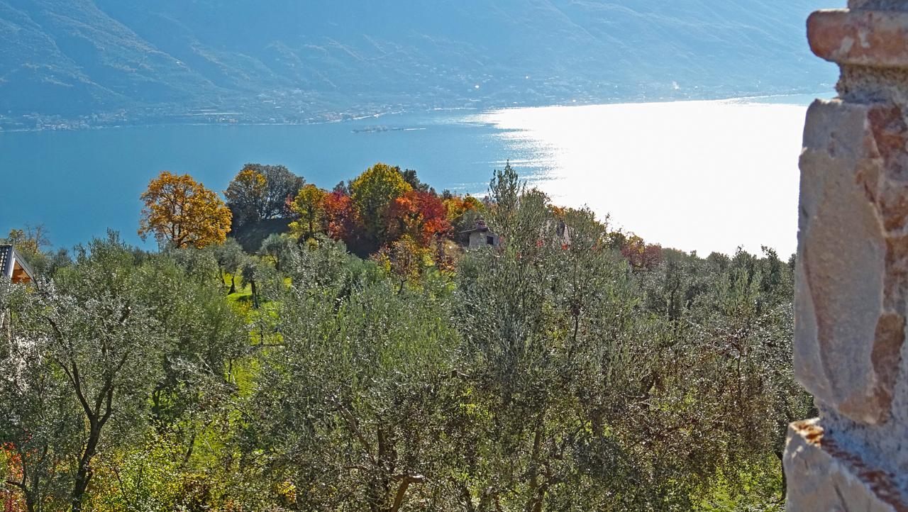 Appartamenti Villa Vagne By Gardadomusmea Tremosine Buitenkant foto